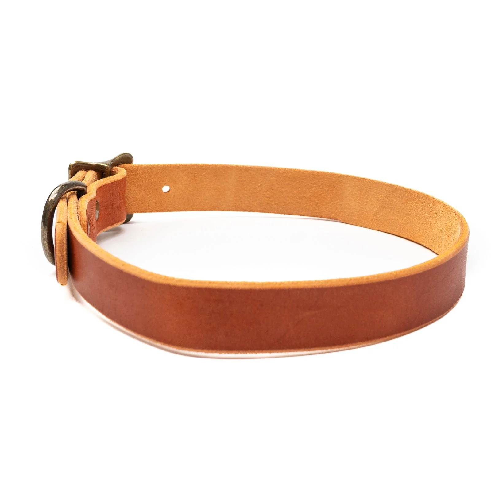 Matching Dog Collar & Leash Bundle - English Tan - Image 6