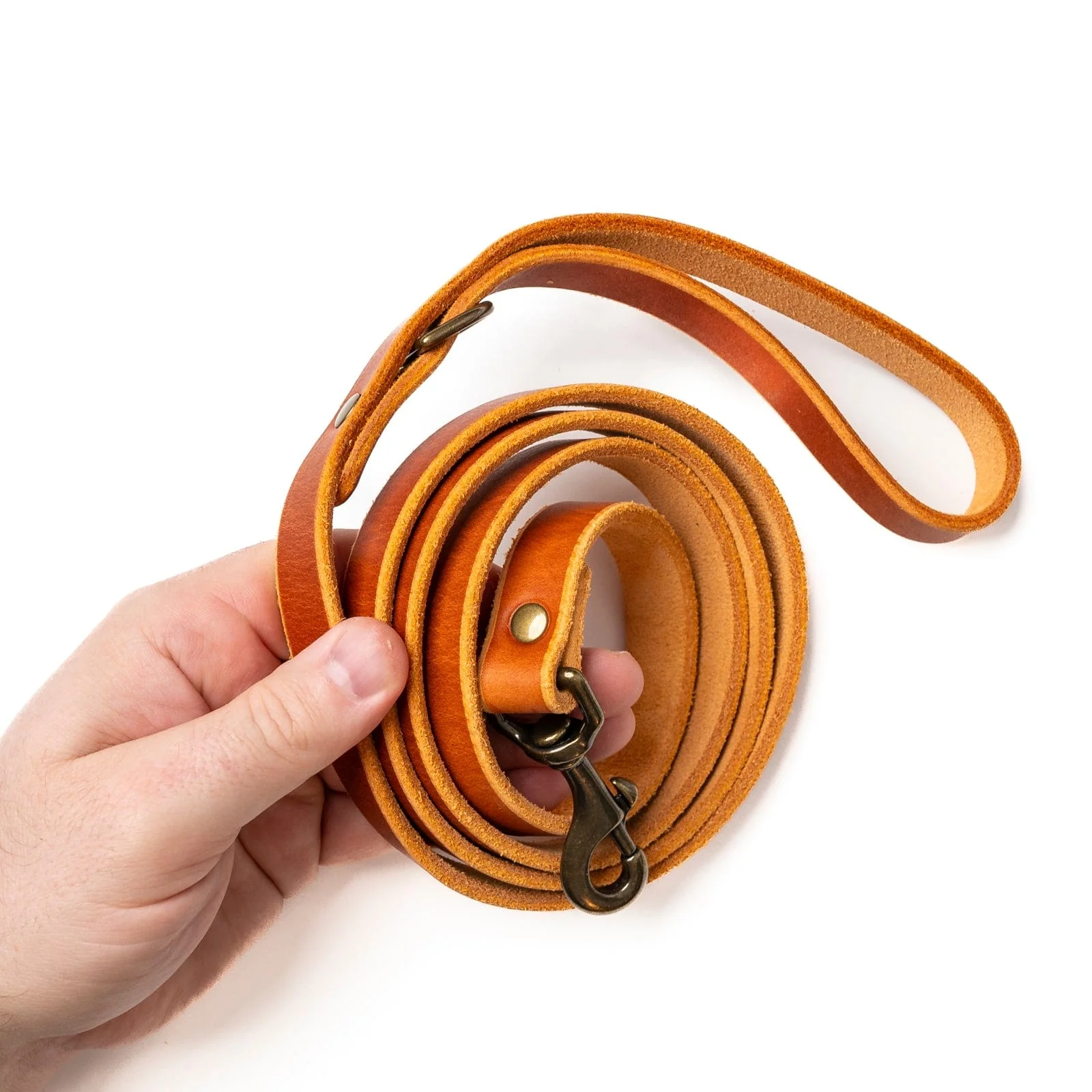 Matching Dog Collar & Leash Bundle - English Tan - Image 9